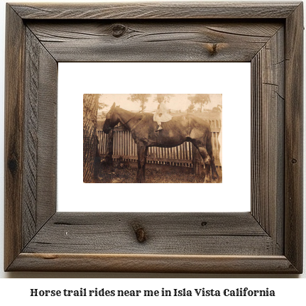 horse trail rides near me in Isla Vista, California